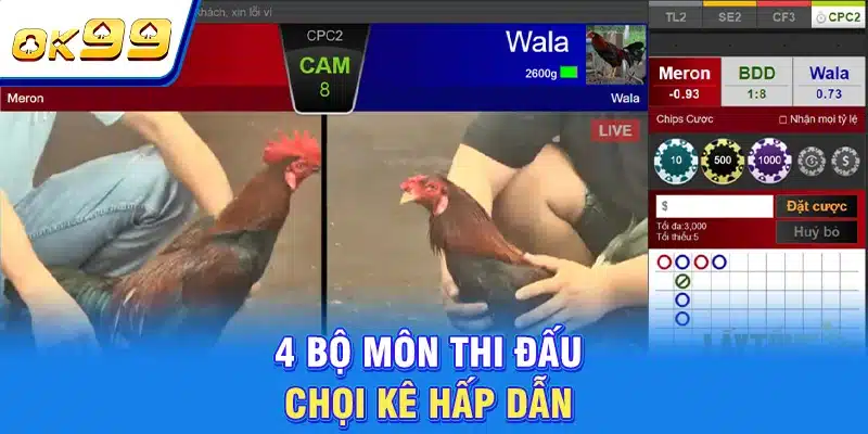 Đá Gà OK99 - Sàn Đầu Nghẹt Thở | Quy Tụ Chiến Kê Triệu Đô 3 4 bộ môn thi đấu chọi kê hấp dẫn