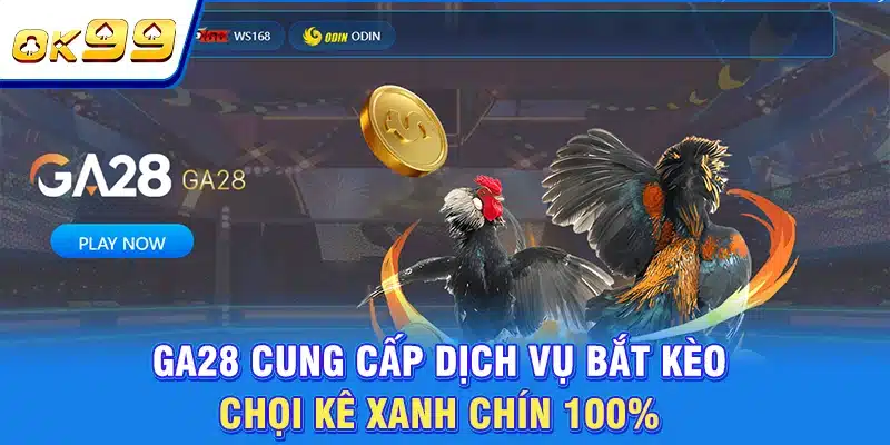 Đá Gà OK99 - Sàn Đầu Nghẹt Thở | Quy Tụ Chiến Kê Triệu Đô 2 GA28 cung cấp dịch vụ bắt kèo chọi kê xanh chín 100%